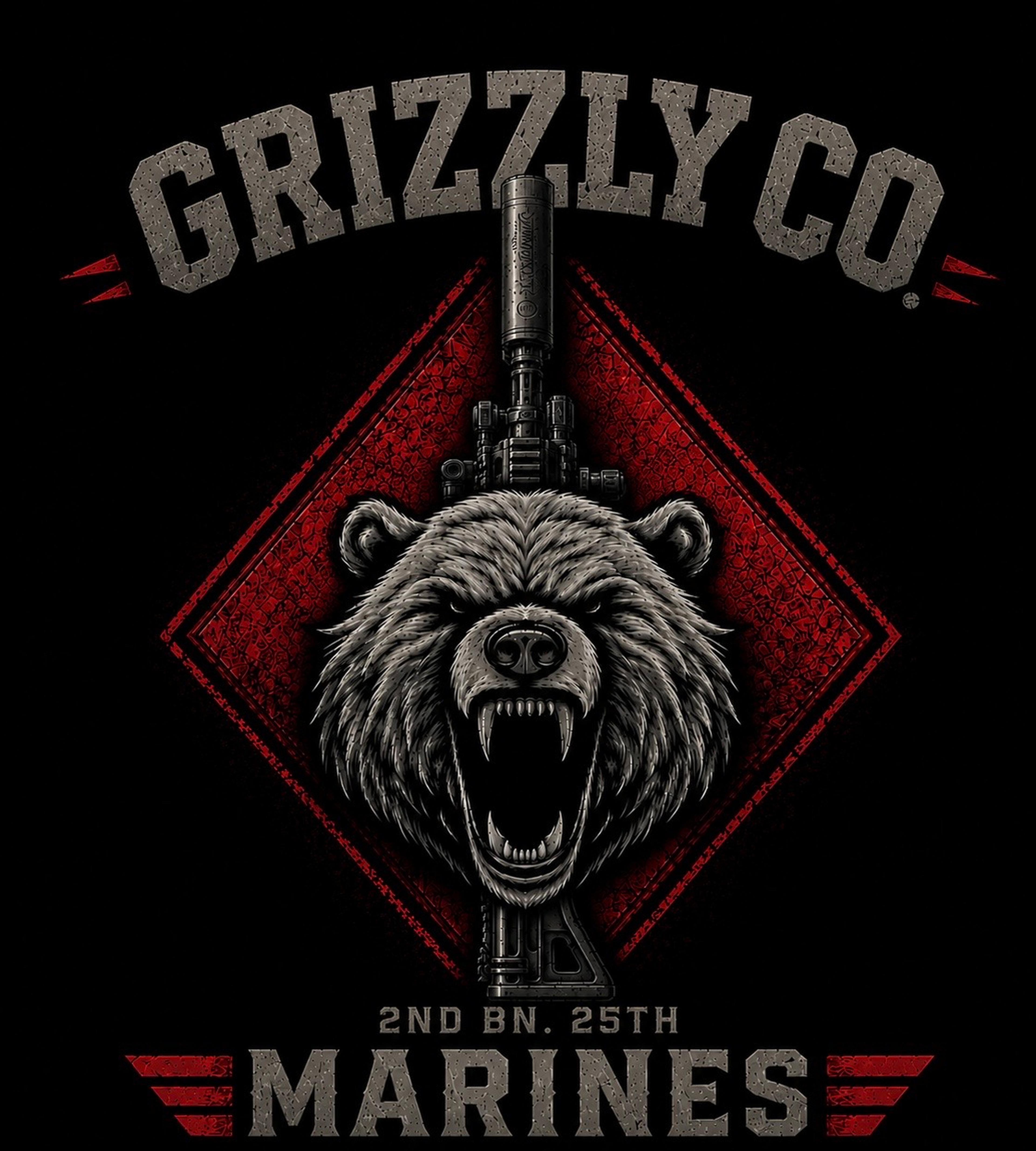 2nd BN 25th Marines
