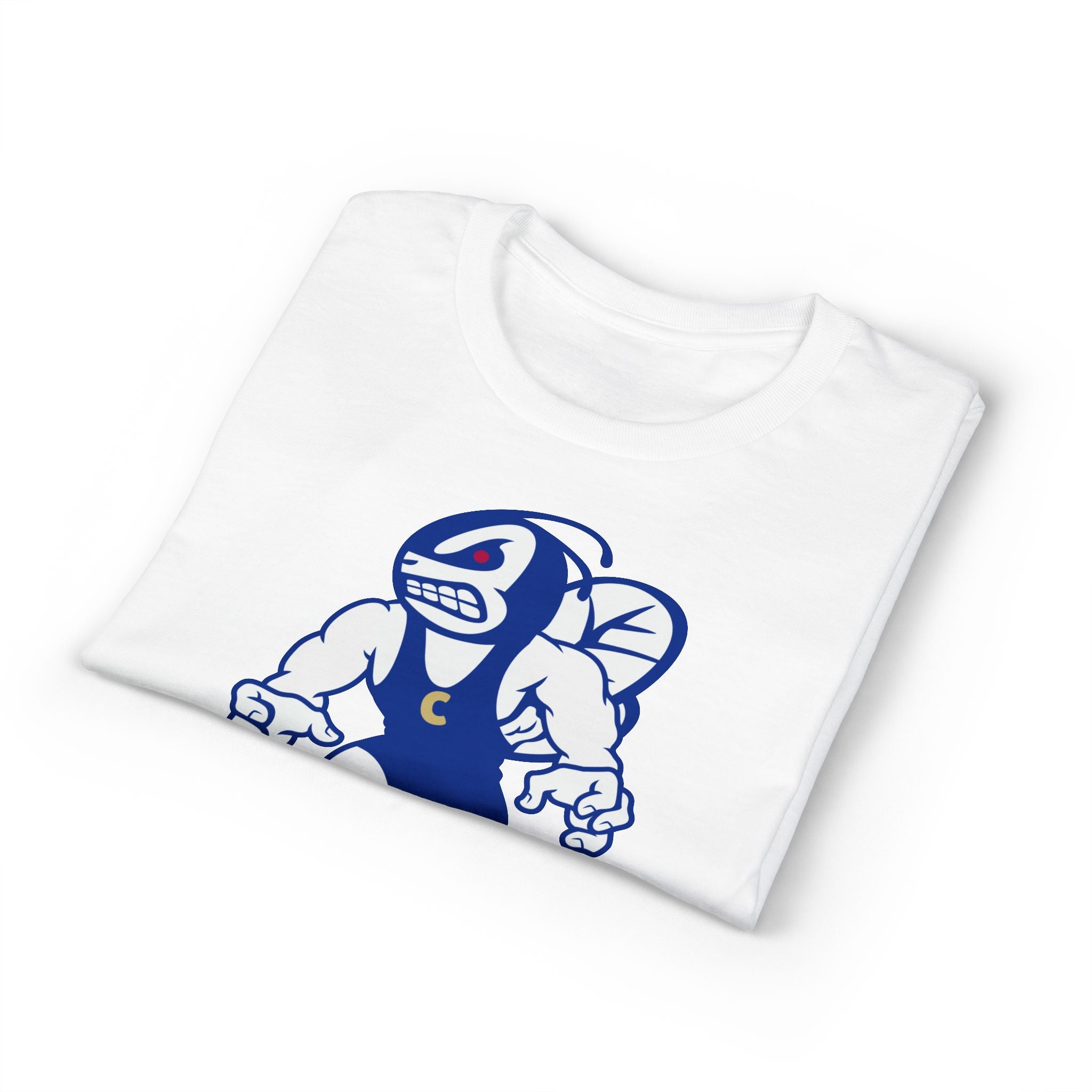 Wrestling Mascot T-Shirt — “Choctah Freestyle” School Spirit Tee