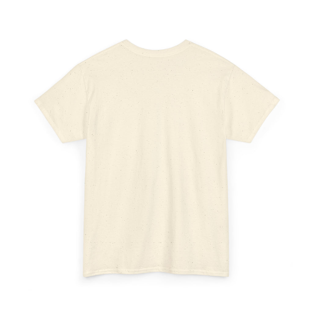 America 250 T-Shirt — "Property of America 250 Est. 1776" Patriotic Tee
